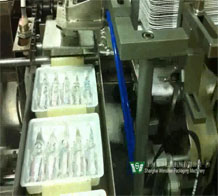 水针型包装生产线